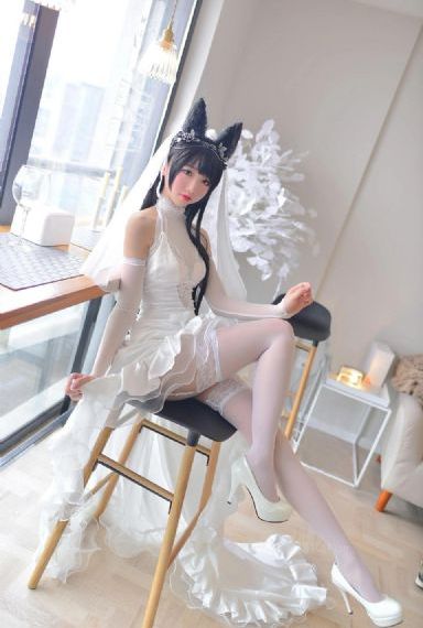 电影电视剧免费看