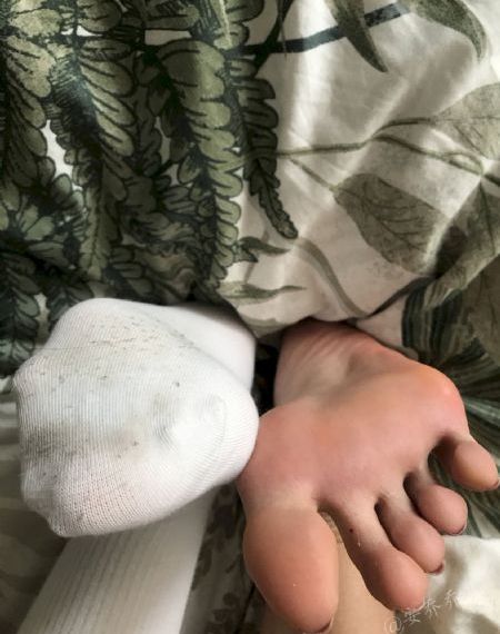 含羞草在线免费观看