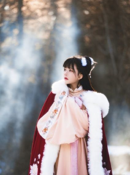 贵女电视连续剧免费播放