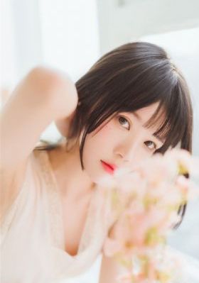 驯龙高手中文版完整免费观看