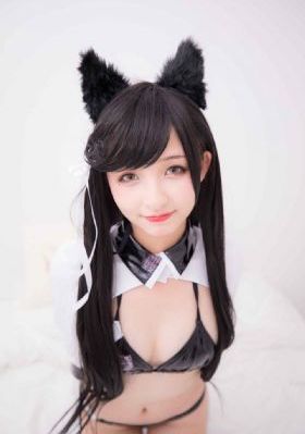 别惹白鸽